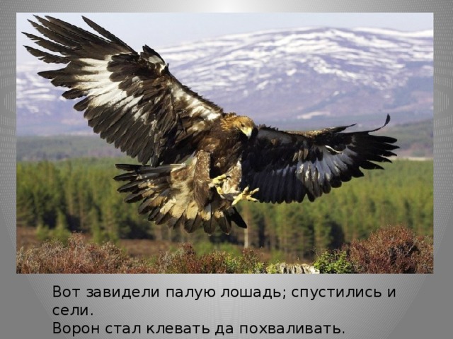 Вот завидели палую лошадь; спустились и сели. Ворон стал клевать да похваливать.