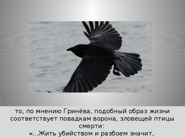 то, по мнению Гринёва, подобный образ жизни соответствует повадкам ворона, зловещей птицы смерти: «...Жить убийством и разбоем значит, по мне, клевать мертвечину».