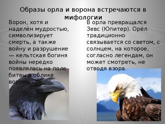 Образы орла и ворона встречаются в мифологии Ворон, хотя и наделён мудростью, символизирует смерть, а также войну и разрушение — кельтская богиня войны нередко появлялась на поле битвы в облике ворона . В орла превращался Зевс (Юпитер). Орёл традиционно связывается со светом, с солнцем, на которое, согласно легендам, он может смотреть, не отводя взора .