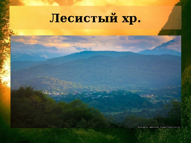 Лесистый хр.