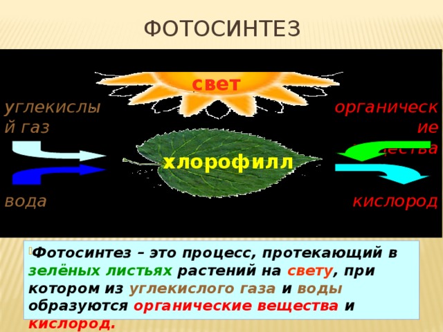 Фотосинтез свет углекислый газ органические вещества хлорофилл вода кислород Фотосинтез – это процесс, протекающий в  зелёных листьях  растений на  свету , при котором из  углекислого  газа  и  воды  образуются  органические вещества и  кислород. 16