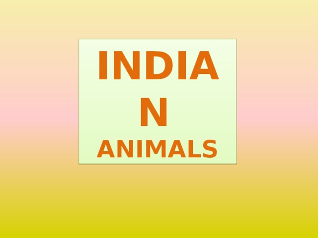 INDIAN  ANIMALS