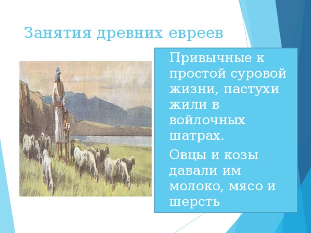 Занятия древних евреев Привычные к простой суровой жизни, пастухи жили в войлочных шатрах. Овцы и козы давали им молоко, мясо и шерсть