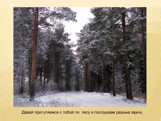 Давай прогуляемся с тобой по лесу и послушаем разные звуки.