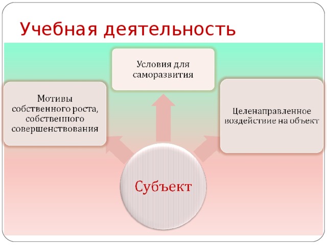 Учебная деятельность