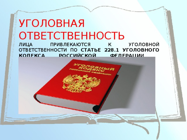 УГОЛОВНАЯ ОТВЕТСТВЕННОСТЬ  ЛИЦА ПРИВЛЕКАЮТСЯ К УГОЛОВНОЙ ОТВЕТСТВЕННОСТИ ПО СТАТЬЕ 228.1 УГОЛОВНОГО КОДЕКСА РОССИЙСКОЙ ФЕДЕРАЦИ И, ПРЕДУСМАТРИВАЮЩЕЙ НАКАЗАНИЕ ДО ПОЖИЗНЕННОГО ЛИШЕНИЯ СВОБОДЫ.