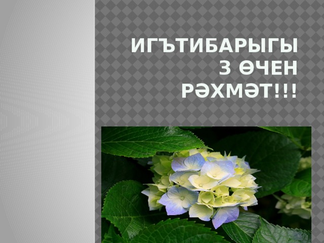 Игътибарыгыз өчен рәхмәт!!! !