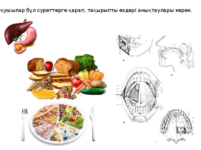 Оқушылар бұл суреттерге қарап, тақырыпты өздері анықтаулары керек.