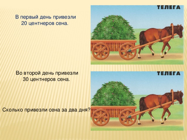 В первый день привезли. Центнер презентация. Центнер картинка. Сколько кг сена в телеге. Сколько в одной телеге тонн сена.