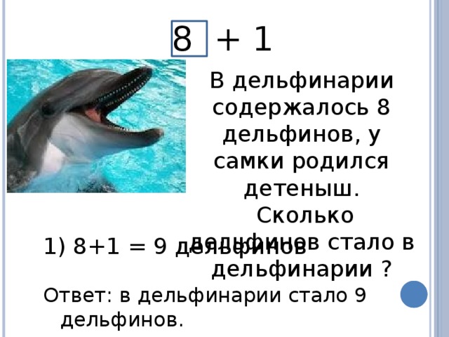 8 + 1 В дельфинарии содержалось 8 дельфинов, у самки родился детеныш.  Сколько дельфинов стало в дельфинарии ?  8+1 = 9 дельфинов Ответ: в дельфинарии стало 9 дельфинов.