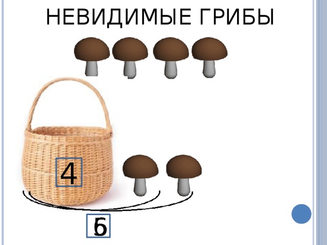 Невидимые грибы 4 5 6