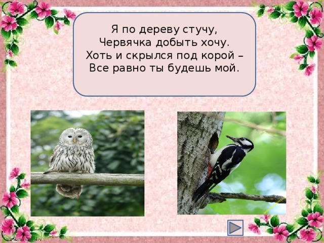 Я по дереву стучу,  Червячка добыть хочу.  Хоть и скрылся под корой –  Все равно ты будешь мой.  