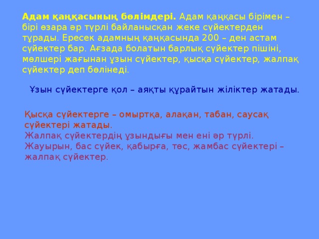 Адам қаңқасының бөлімдері. Адам қаңқасы бірімен – бірі өзара әр түрлі байланысқан жеке сүйектерден тұрады. Ересек адамның қаңқасында 200 – ден астам сүйектер бар. Ағзада болатын барлық сүйектер пішіні, мөлшері жағынан ұзын сүйектер, қысқа сүйектер, жалпақ сүйектер деп бөлінеді.  Ұзын сүйектерге қол – аяқты құрайтын жіліктер жатады. Қысқа сүйектерге – омыртқа, алақан, табан, саусақ сүйектері жатады. Жалпақ сүйектердің ұзындығы мен ені әр түрлі. Жауырын, бас сүйек, қабырға, төс, жамбас сүйектері – жалпақ сүйектер.