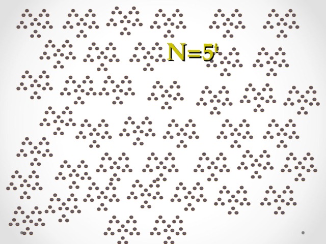 N=5 t 4