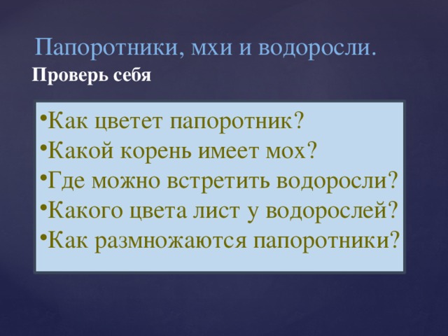 Папоротники, мхи и водоросли. Проверь себя Как цветет папоротник? Какой корень имеет мох? Где можно встретить водоросли? Какого цвета лист у водорослей? Как размножаются папоротники?