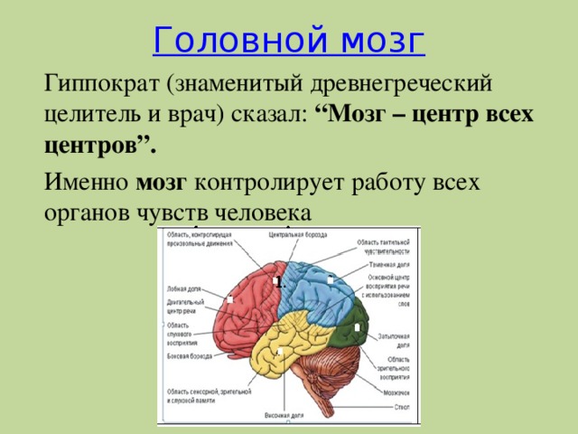 Одно из чувств человека которое испытывает наибольшую нагрузку при работе с компьютером