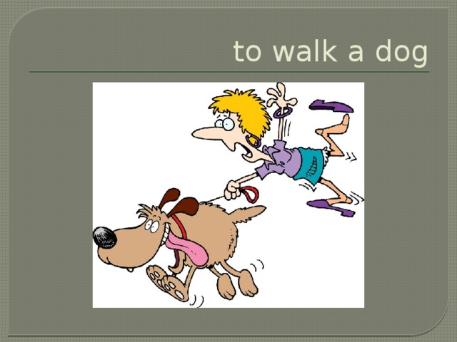 to walk a dog