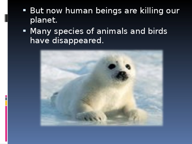 But now human beings are killing our planet. Many species of animals and birds have disappeared.