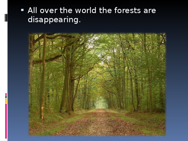 All over the world the forests are disappearing.
