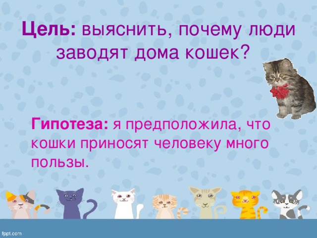 Цель: выяснить, почему люди заводят дома кошек?   Гипотеза: я предположила, что кошки приносят человеку много пользы.