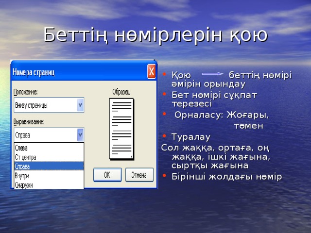 Беттің нөмірлерін қою Қою беттің нөмірі әмірін орындау Бет нөмірі сұқпат терезесі  Орналасу: Жоғары,  төмен Туралау Сол жаққа, ортаға, оң жаққа, ішкі жағына, сыртқы жағына