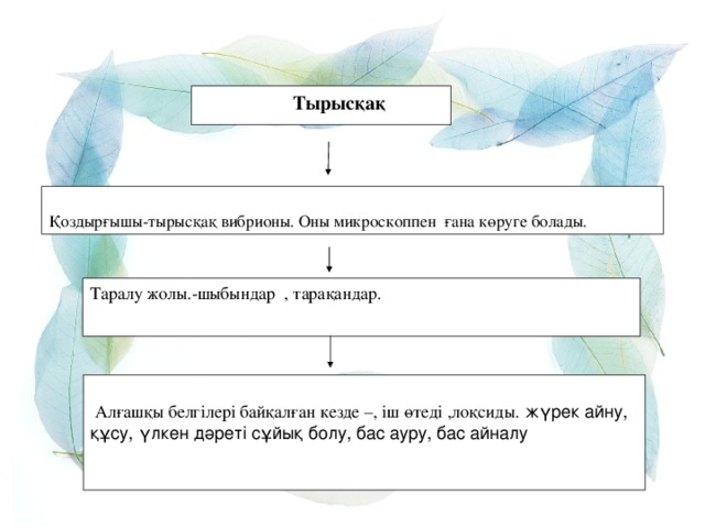 Тырысқақ Қоздырғышы-тырысқақ вибрионы. Оны микроскоппен ғана көруге болады. Таралу жолы.-шыбындар , тарақандар.  Алғашқы белгілері байқалған кезде –, іш өтеді ,лоқсиды. жүрек айну, құсу, үлкен дәреті сұйық болу, бас ауру, бас айналу