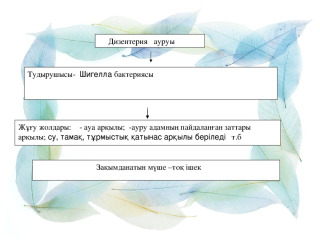 Дизентерия ауруы Тудырушысы- Шигелла бактериясы Жұғу жолдары: - ауа арқылы; -ауру адамның пайдаланған заттары арқылы; су, тамақ, тұрмыстық қатынас арқылы беріледі т.б  Зақымданатын мүше –тоқ ішек