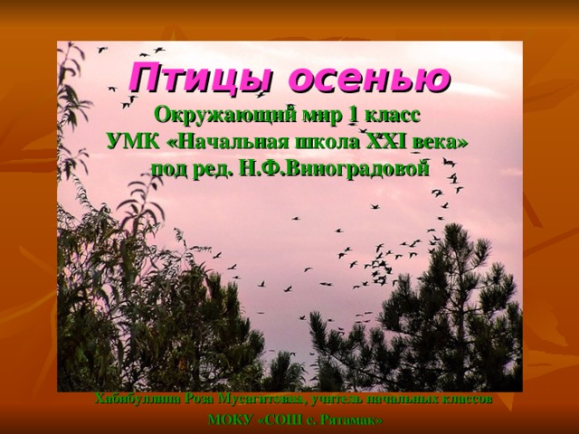 Птицы осенью  Окружающий мир 1 класс  УМК «Начальная школа XXI века»  под ред. Н.Ф.Виноградовой     Хабибуллина Роза Мусагитовна, учитель начальных классов МОКУ «СОШ с. Рятамак»