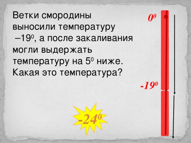 Ветки смородины выносили температуру – 19 0 , а после закаливания могли выдержать температуру на 5 0 ниже. Какая это температура? 0 0 -19 0 № 308 Виленкин Н.Я Математика – 5, 2006 год издания -24 0