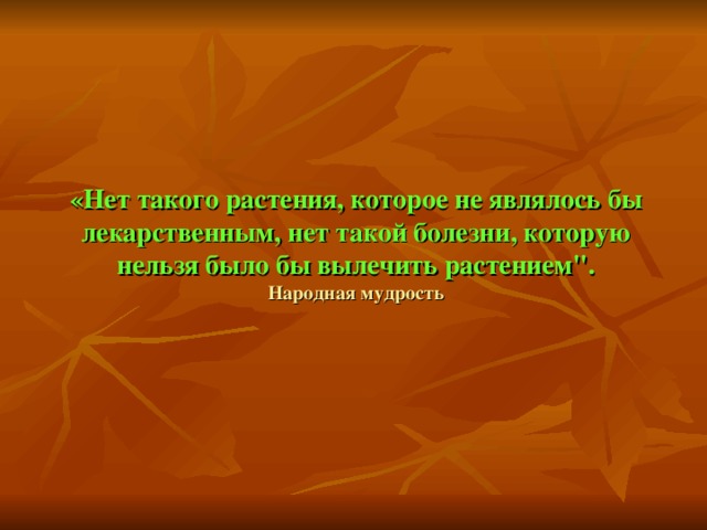 «Нет такого растения, которое не являлось бы лекарственным, нет такой болезни, которую нельзя было бы вылечить растением