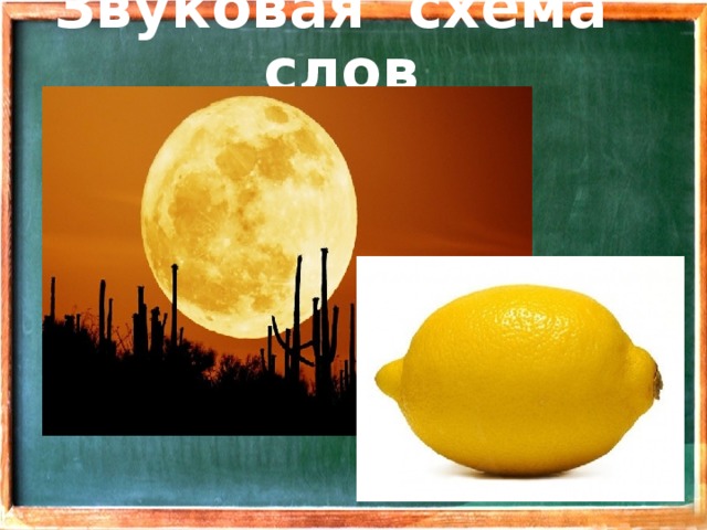 Звуковая схема слов