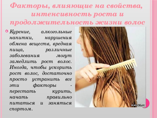 Факторы, влияющие на свойства,  интенсивность роста и  продолжительность жизни волос