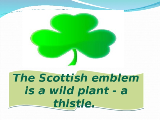 The Scottish emblem is a wild plant - a thistle.
