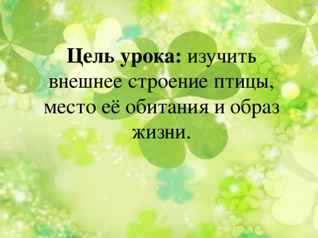 Цель урока: изучить внешнее строение птицы, место её обитания и образ жизни.