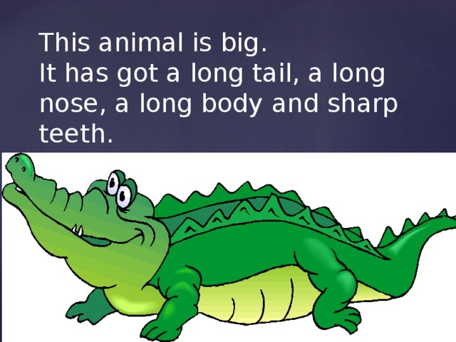 This animal is big. It has got a long tail, a long nose, a long body and sharp teeth. It can go and swim.  It is green.