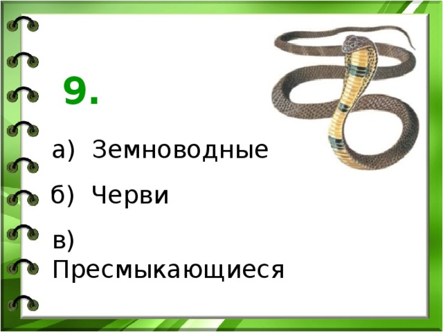 9. а) Земноводные б) Черви в) Пресмыкающиеся