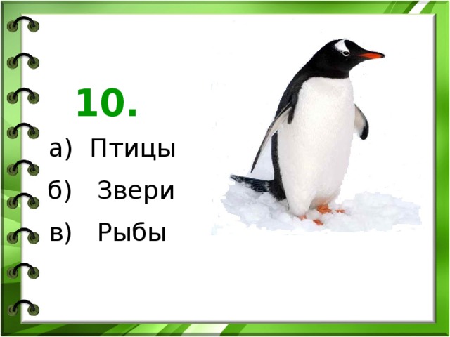 10. а) Птицы б) Звери в) Рыбы