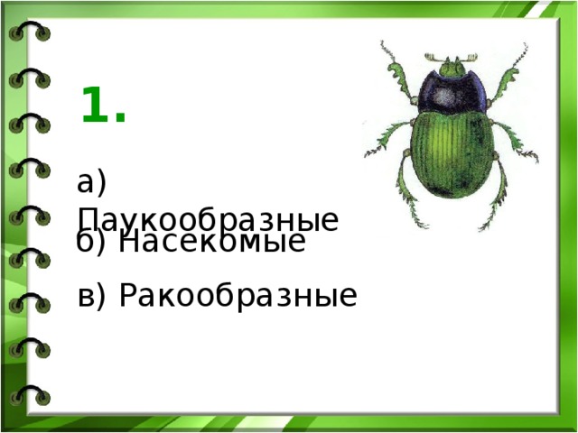 1. а) Паукообразные б) Насекомые в) Ракообразные