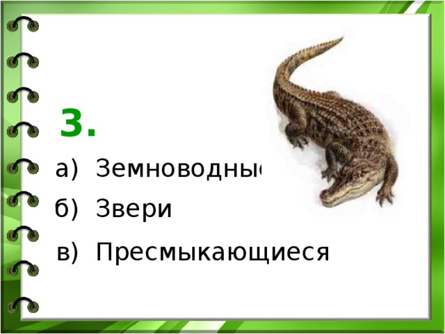 3. а) Земноводные б) Звери в) Пресмыкающиеся