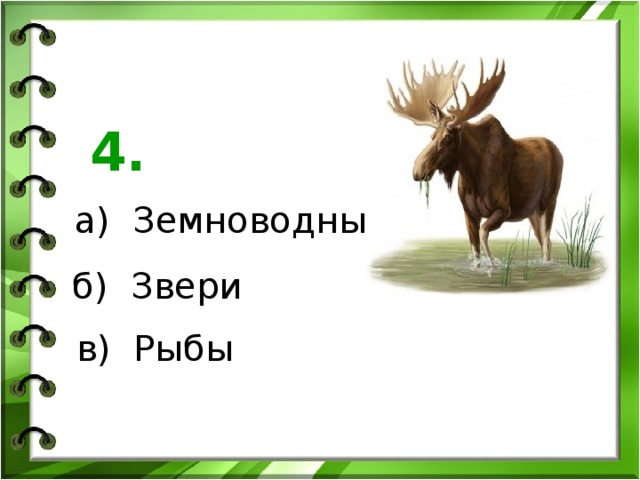 4. а) Земноводные б) Звери в) Рыбы