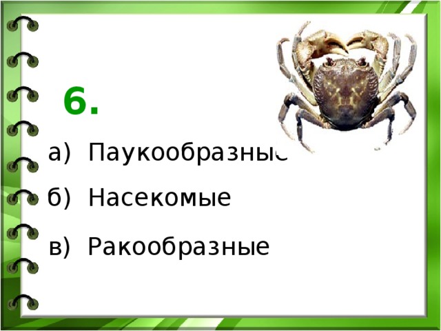 6. а) Паукообразные б) Насекомые в) Ракообразные