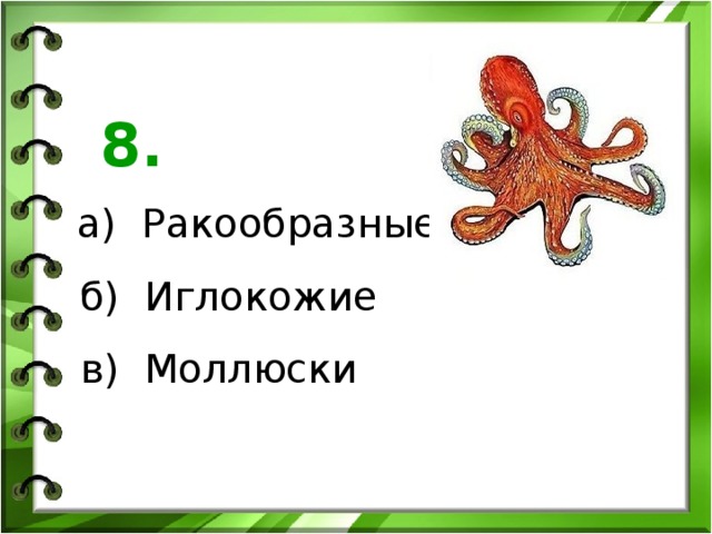 8. а) Ракообразные б) Иглокожие в) Моллюски