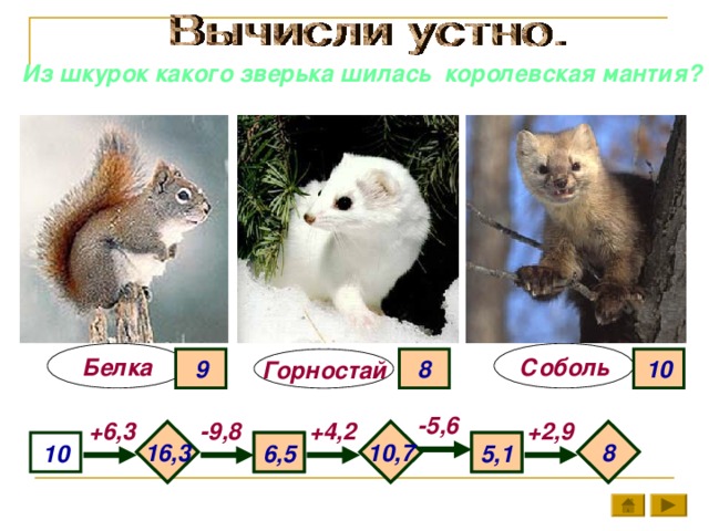 Из шкурок какого зверька шилась королевская мантия?  Соболь Белка 10 8 Горностай 9 -5,6 +6,3 -9,8 +4,2 +2,9 8 10,7 16,3  6,5 5,1 10