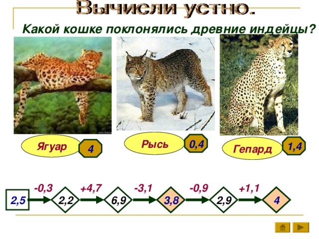 Какой кошке поклонялись древние индейцы? Рысь 0,4 Ягуар 1,4 Гепард 4 +1,1 +4,7 -3,1 -0,9 -0,3 6,9 3,8 4 2,9 2,2 2,5