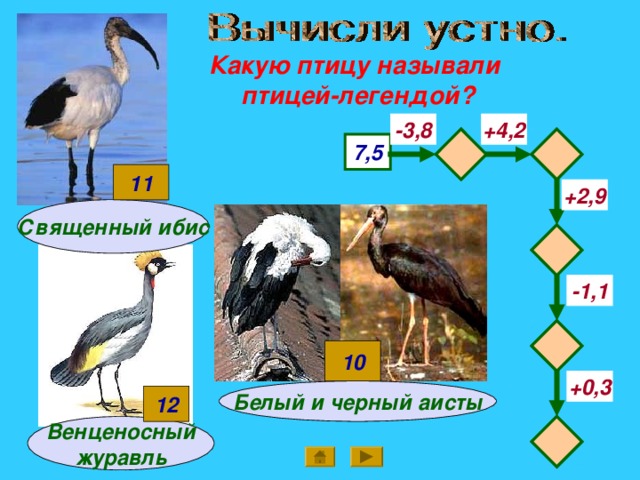 Какую птицу называли птицей-легендой? -3,8 +4,2   7,5 11 +2,9 Священный ибис  -1,1  10 +0,3 Белый и черный аисты 12  Венценосный журавль