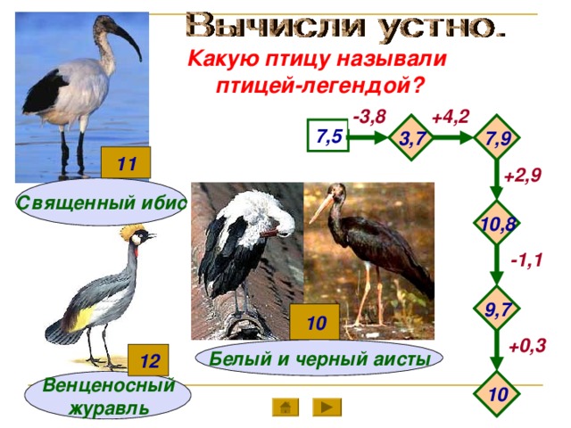 Какую птицу называли птицей-легендой? -3,8 +4,2 7,9 3,7 7,5 11 +2,9 Священный ибис 10,8 -1,1 9,7 10 +0,3 Белый и черный аисты 12 10 Венценосный журавль