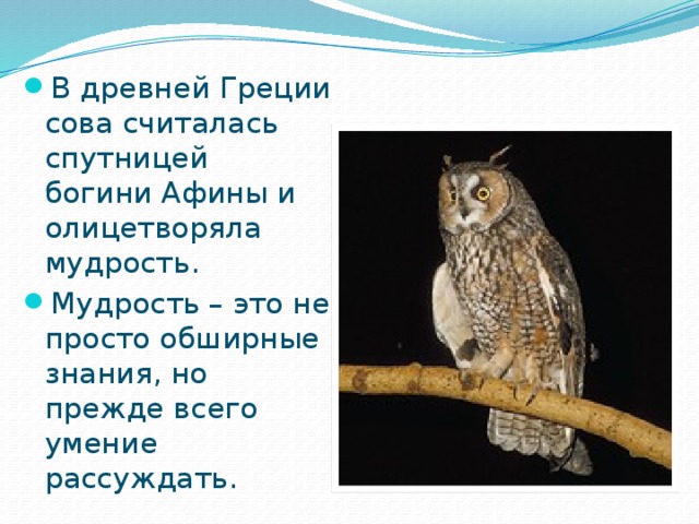 В древней Греции сова считалась спутницей богини Афины и олицетворяла мудрость. Мудрость – это не просто обширные знания, но прежде всего умение рассуждать.
