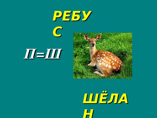 РЕБУС П=Ш ШЁЛАН