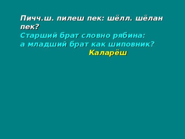 Пичч.ш. пилеш пек: шёлл. шёлан пек? Старший брат словно рябина: а младший брат как шиповник?   Каларёш