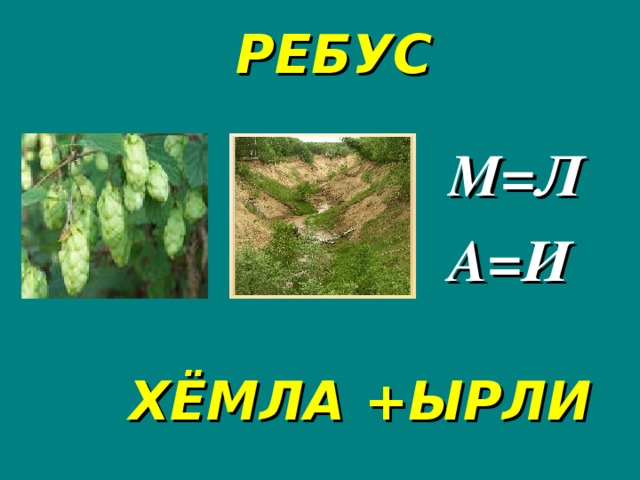 РЕБУС М=Л А=И ХЁМЛА +ЫРЛИ